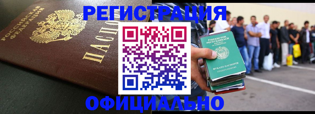 прописка 2025 в Камешково